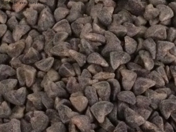 青麻種子圖片 青麻種子圖片