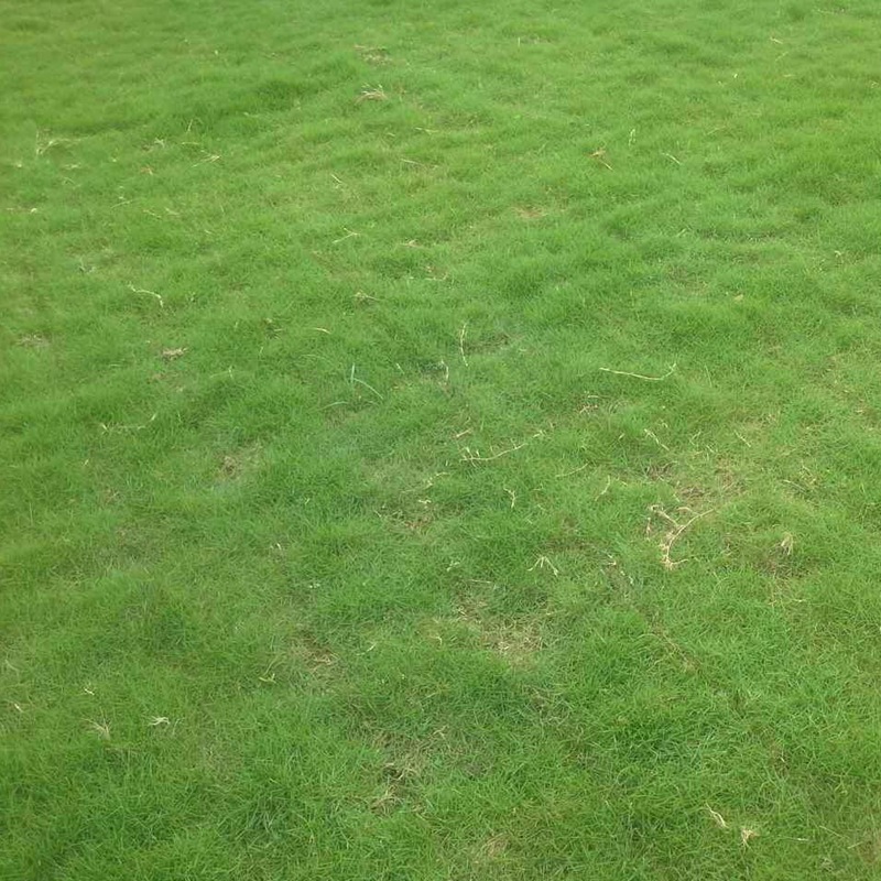 1646891163920197.jpg