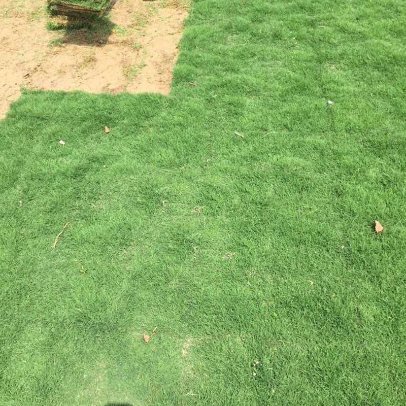 1646892658415964.jpg