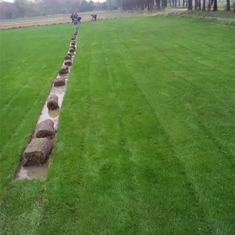 1647536455733906.jpg