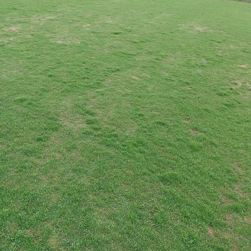 1647537554974813.jpg