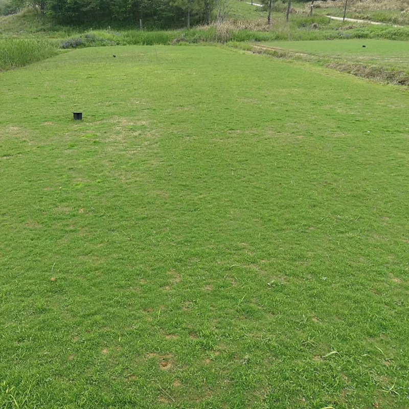 1647574783995867.jpg